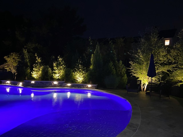 An image of illuminated trees and a pool