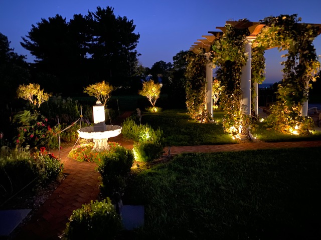 An image of a garden with landscape lighting