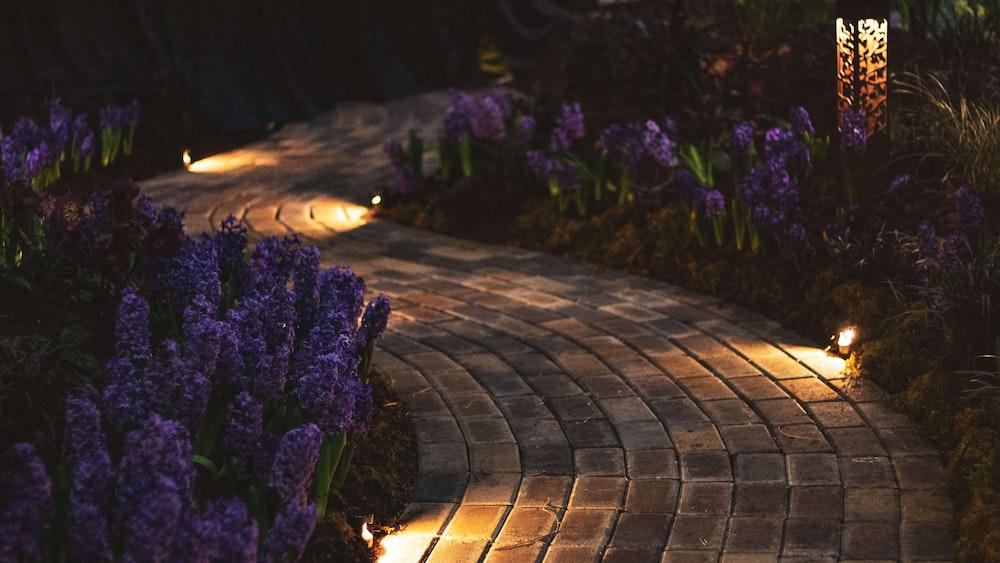 Picture of a well-lit garden path.