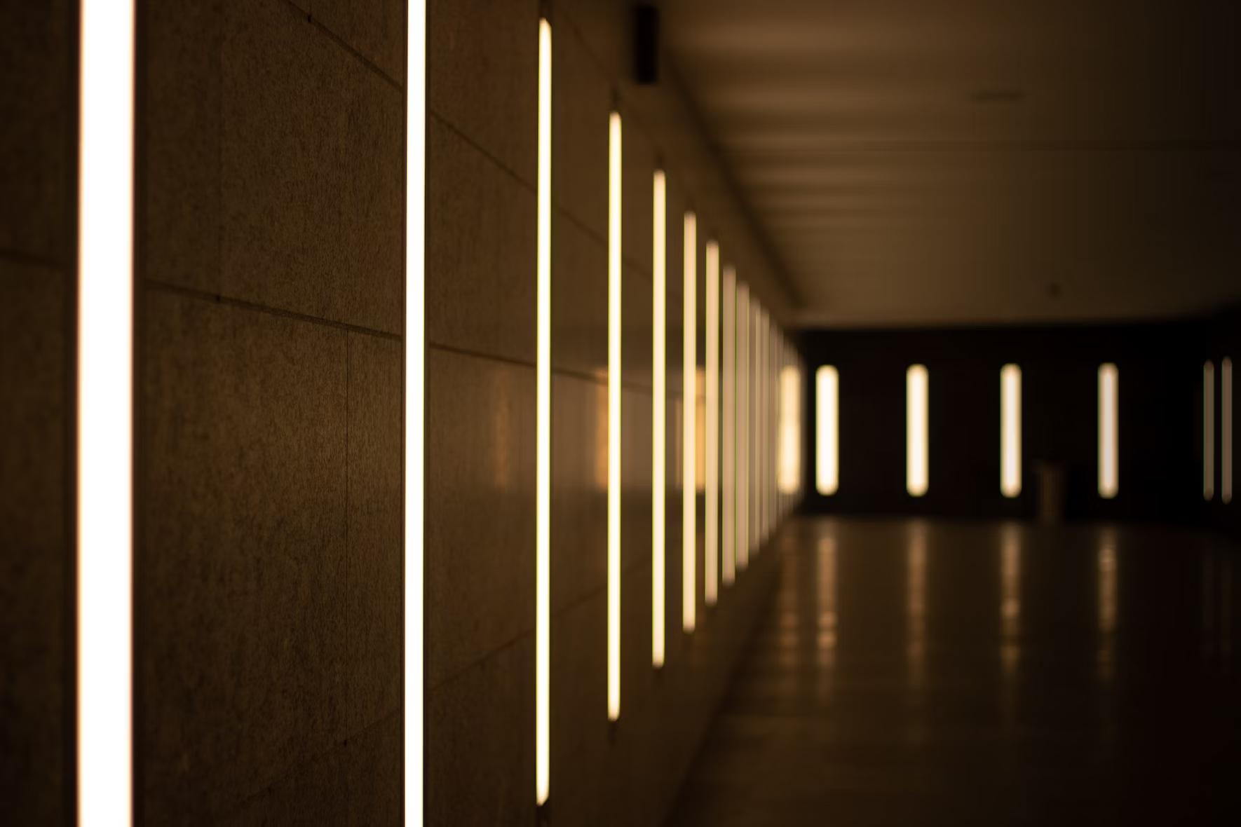 An image of pathway lights