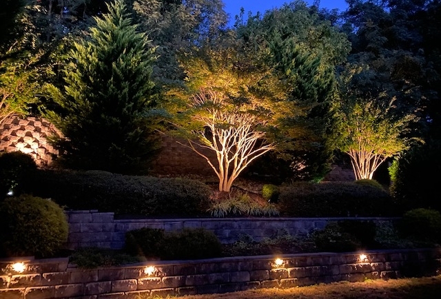 LED lights installed outdoors under trees