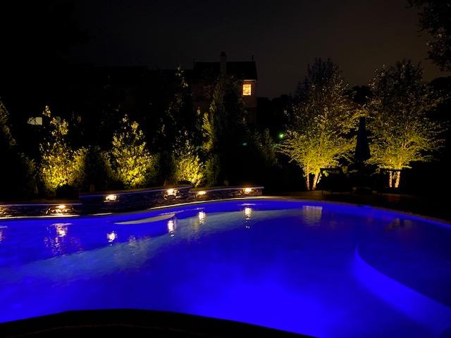 An image of illuminated trees and a pool