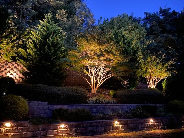 An image of illuminated trees and a pathway