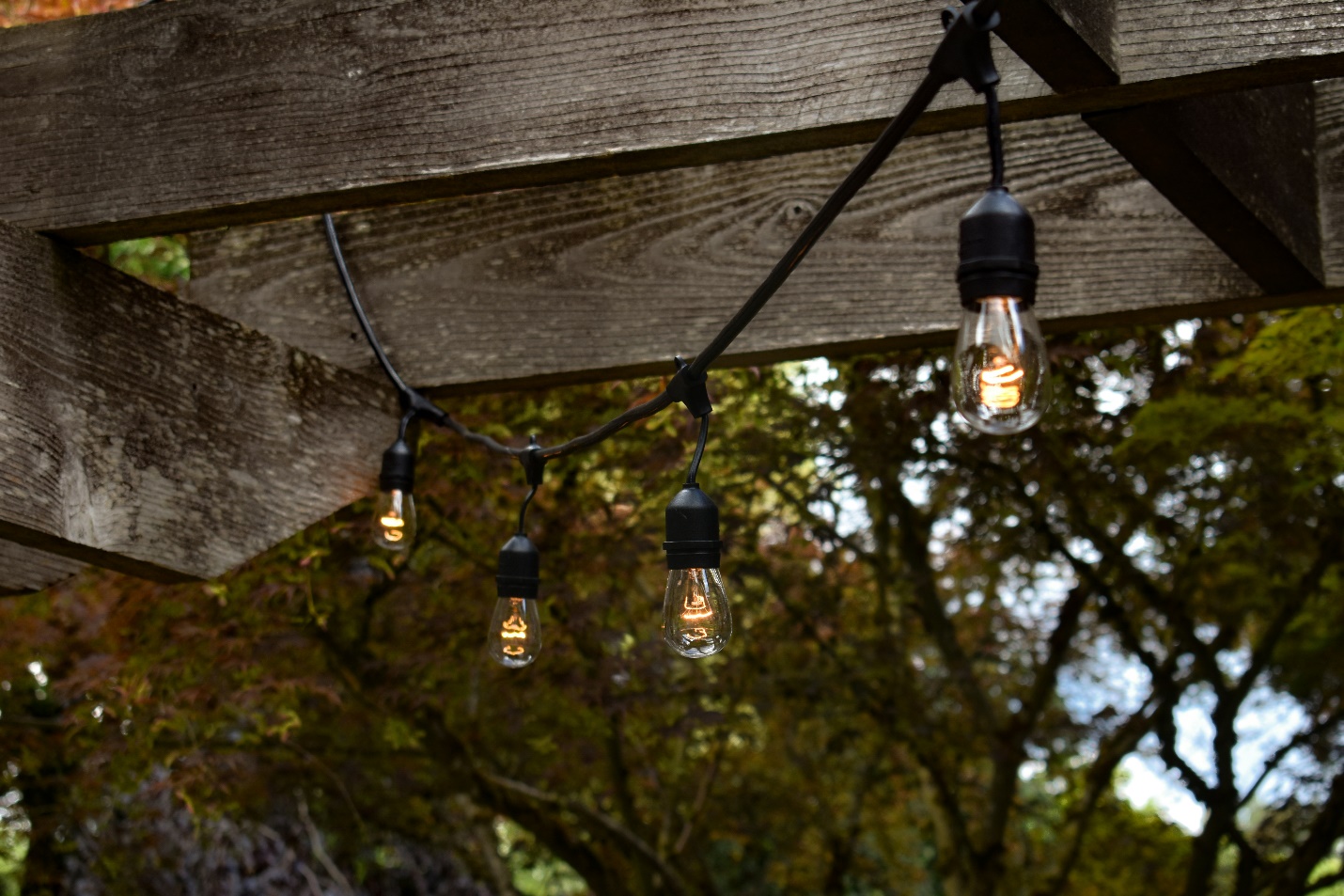 Hanging bulbs for porch lighting