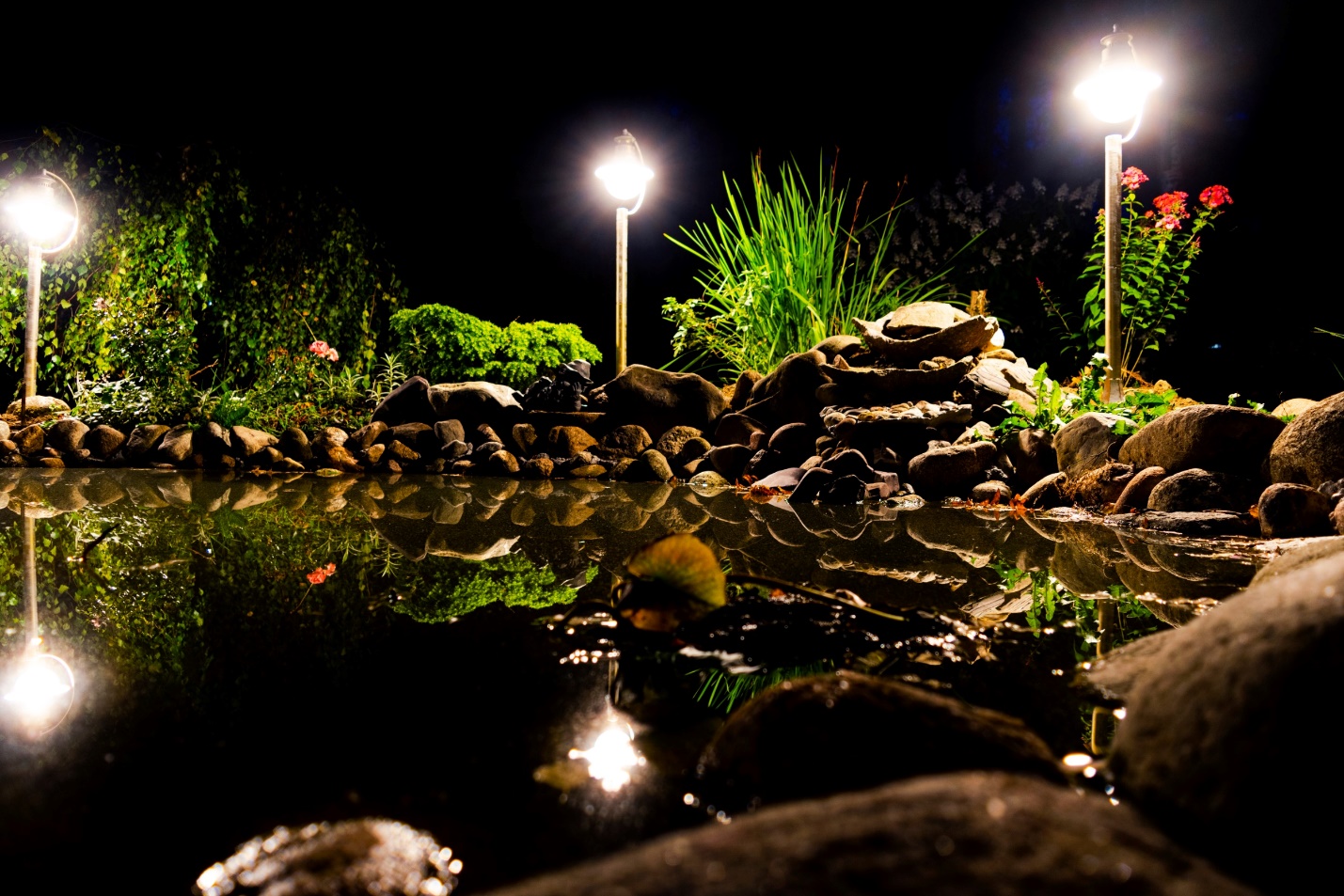A backyard pond illuminated with layered landscape lighting using uplights, downlights, and pathway lights for depth and reflection
