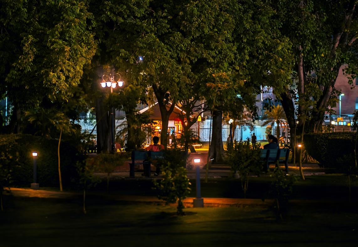 A garden at night with a few lights on